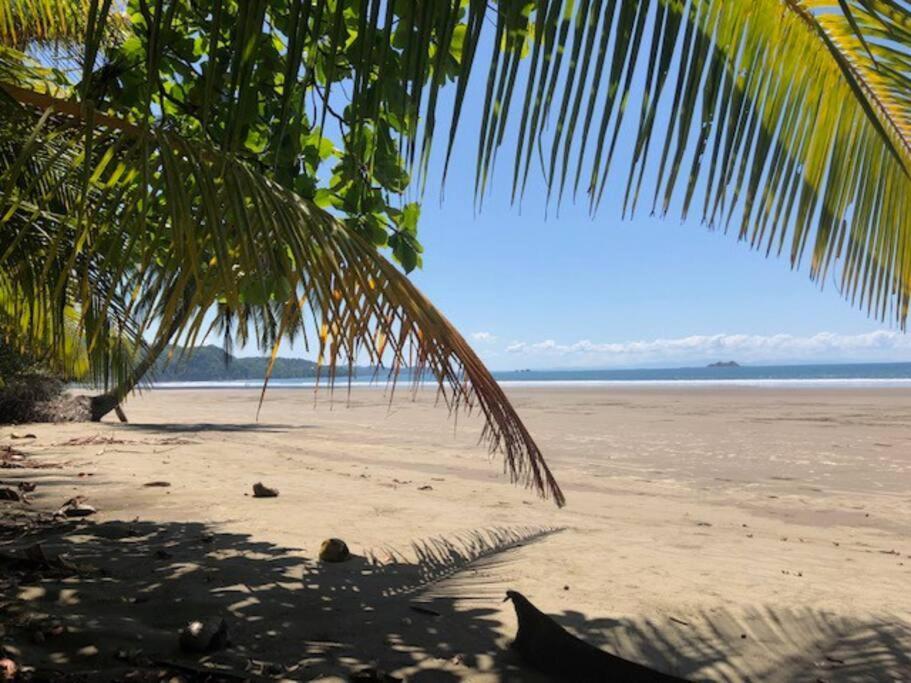 Casa Toucan Mit Privat Pool Near Np Ballena Uvita Exterior foto
